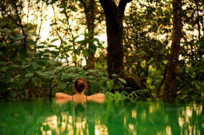 Wayanad Wild - Rainforest Lodge - A CGH Earth Experience